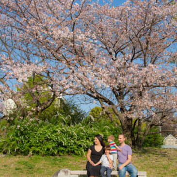 Time to look back this spring,,, photo sessions in Kyoto.