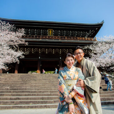Kimono walking under cherry blossom in Kyoto.
