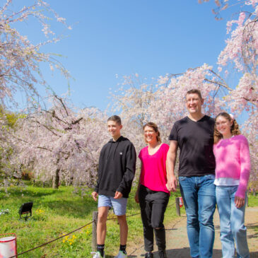 Get ready to capture unforgettable memories with cherry blossoms!!