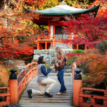 💍 Planning a Surprise Proposal This Autumn?