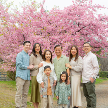 Cherry blossom season in Japan is just around the corner