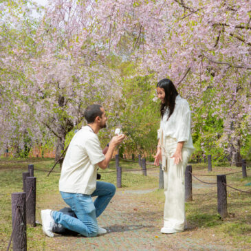 Let’s propose beneath the cherry blossoms