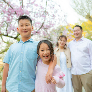 Let’s show your children the beauty of cherry blossoms in Kyoto.