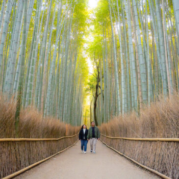 Surprise proposal at Arashiyama bamboo forest