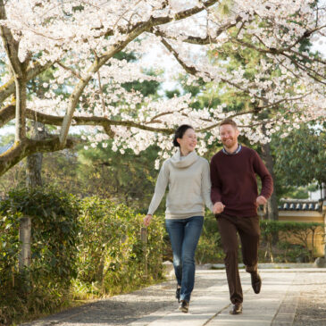 Lovely couple photo session under cherryblossoms in Kyoto